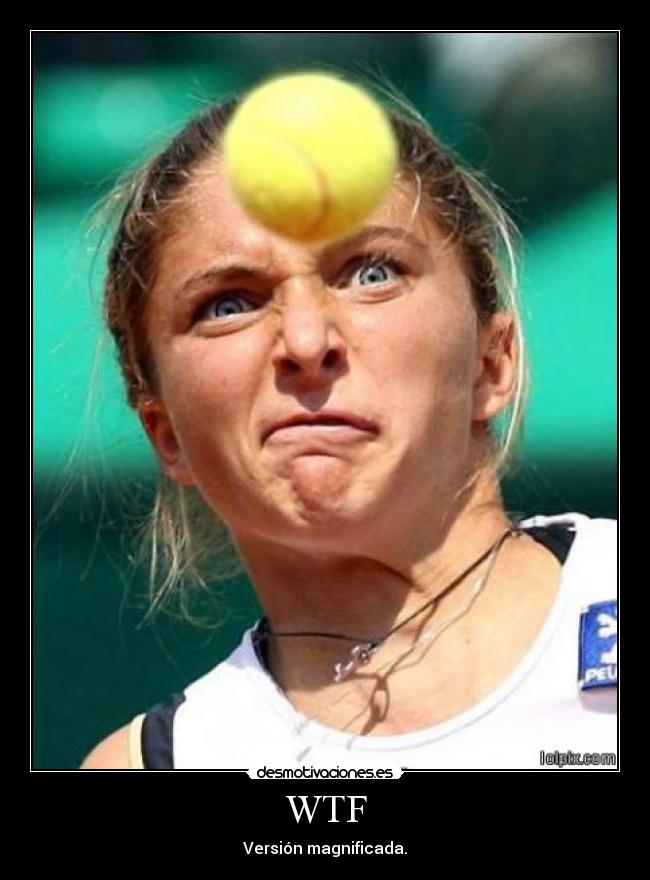 WTF - Versión magnificada.