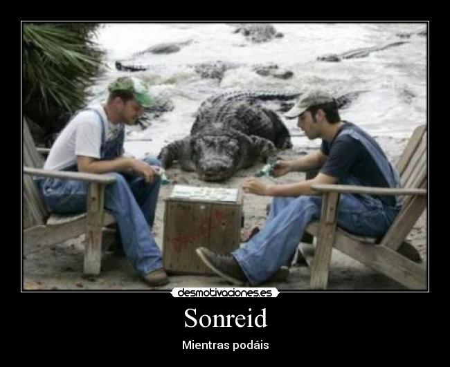 Sonreid - 