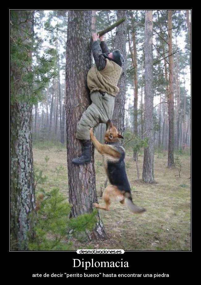 Diplomacia - arte de decir perrito bueno hasta encontrar una piedra