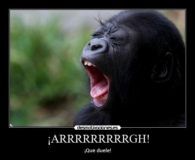 ¡ARRRRRRRRRGH! -