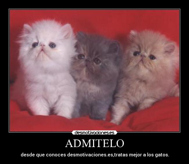 carteles admiteloo desmotivaciones