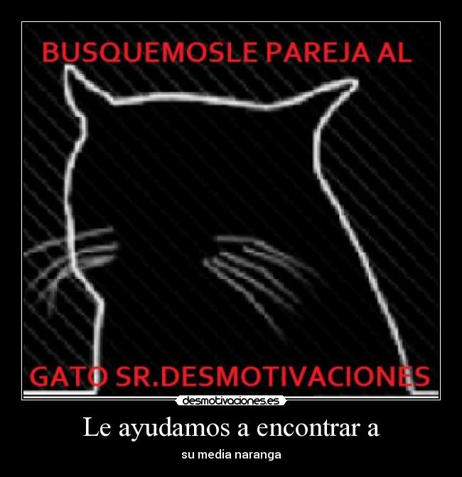 Le ayudamos a encontrar a - 