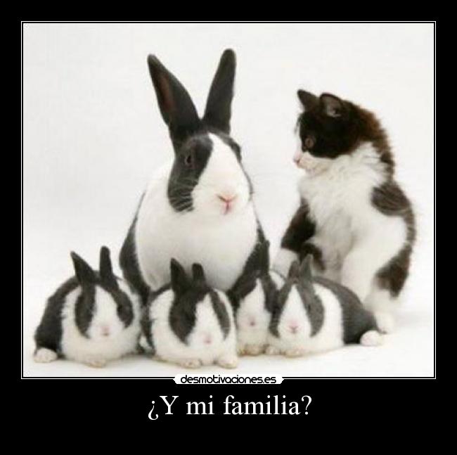 ¿Y mi familia? - 