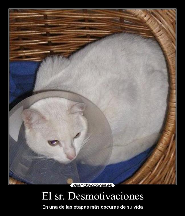 carteles desmotivaciones ambnf desmotivaciones