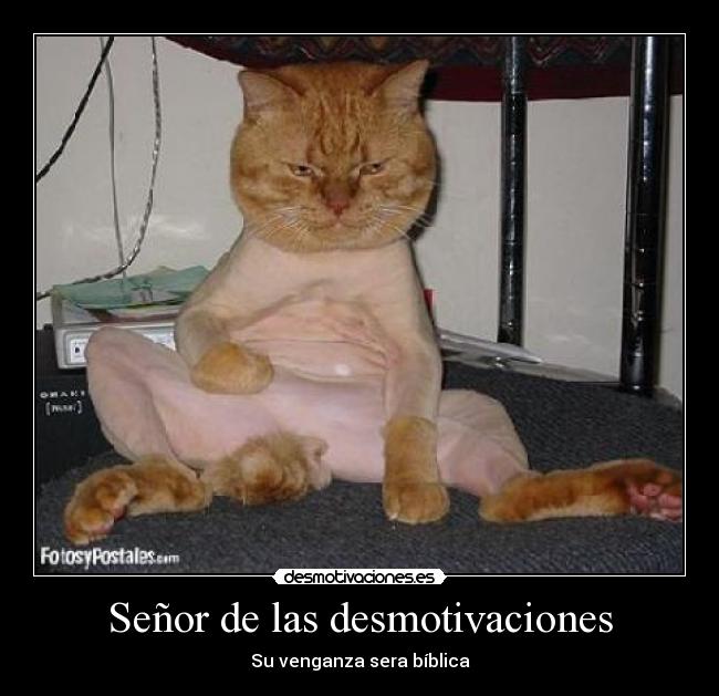 Señor de las desmotivaciones -