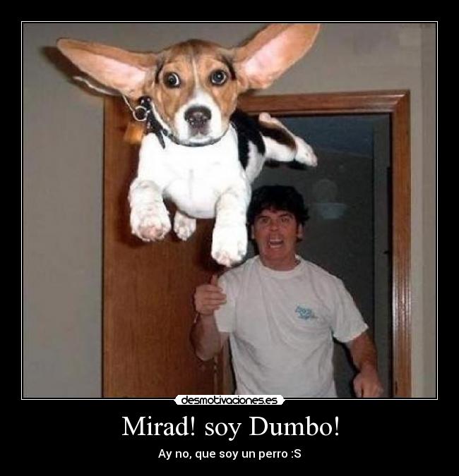 Mirad! soy Dumbo! -