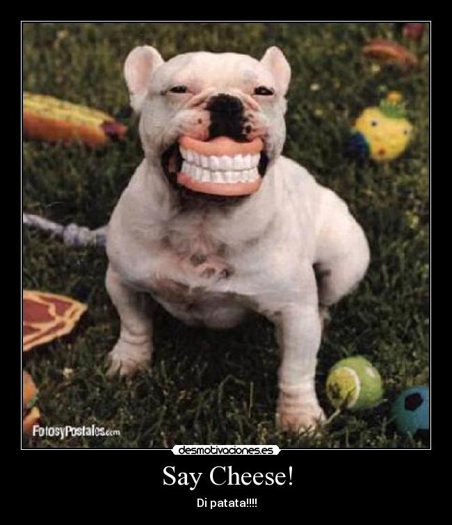 Say Cheese! - 