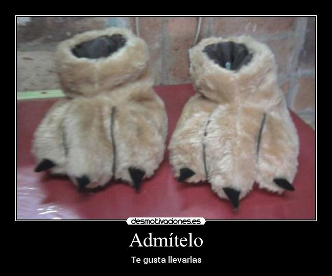 carteles pantuflas desmotivaciones