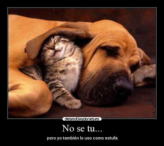 No se tu... - pero yo también lo uso como estufa