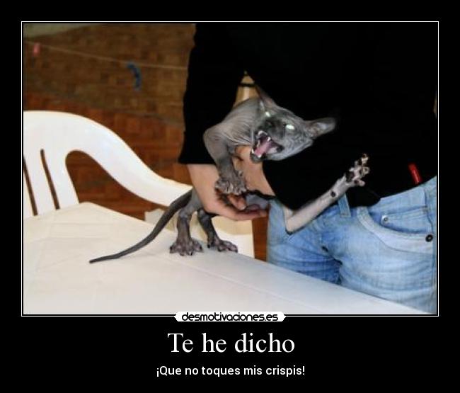 Te he dicho - ¡Que no toques mis crispis!