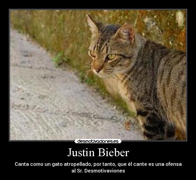 Justin Bieber - Canta como un gato atropellado, por tanto, que él cante es una ofensa
al Sr. Desmotivaviones