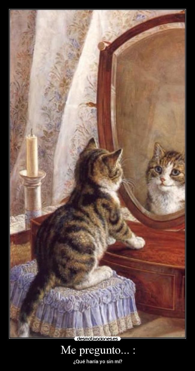 Me pregunto... : -