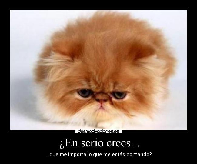 ¿En serio crees... - 