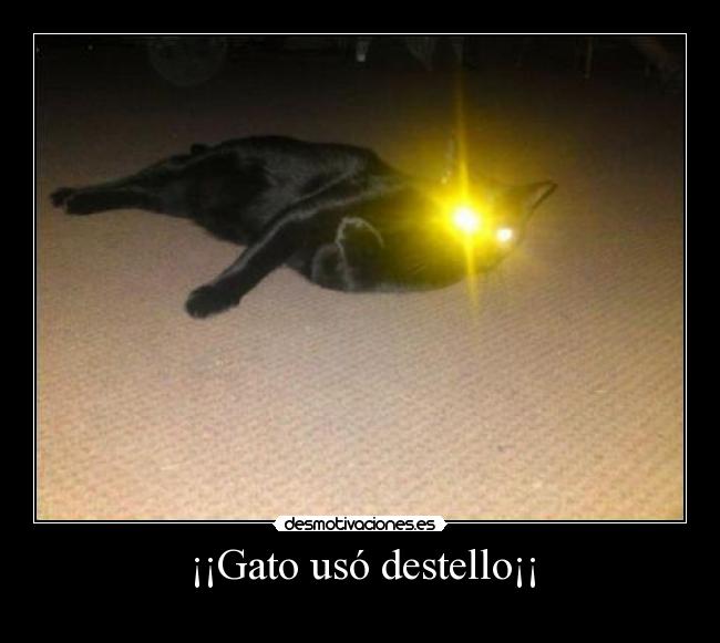 ¡¡Gato usó destello¡¡ - 