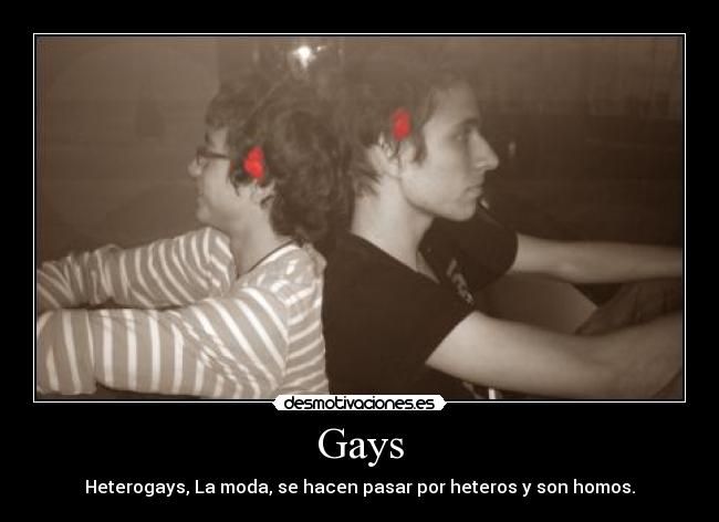 carteles gays desmotivaciones