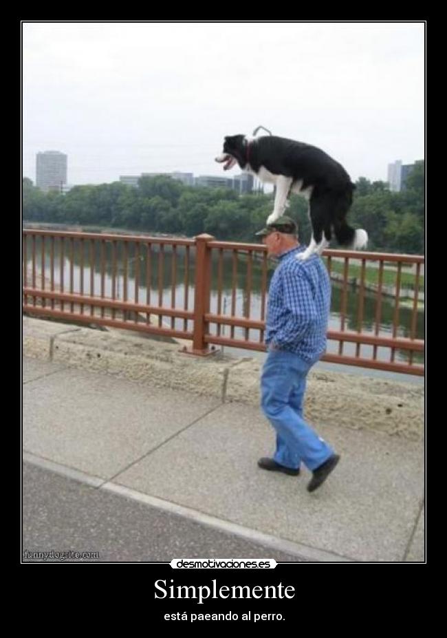 Simplemente - está paeando al perro.