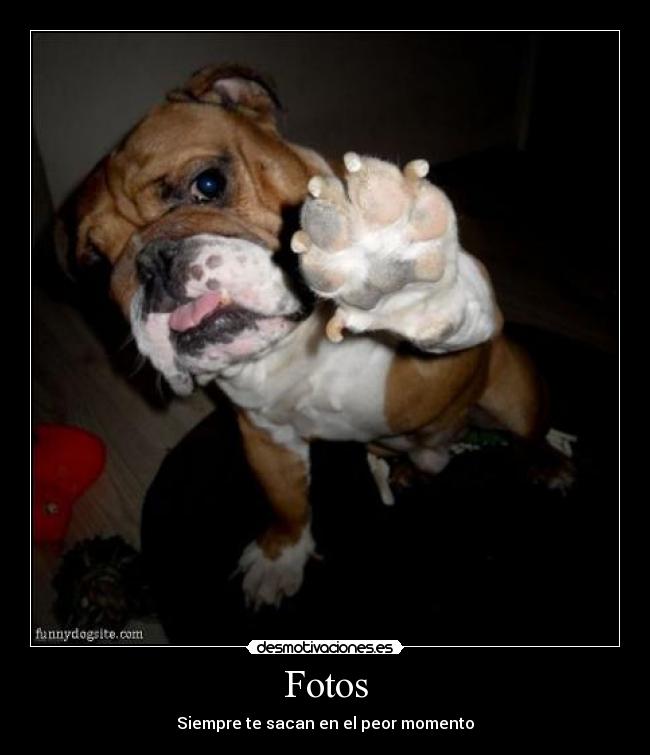 Fotos - Siempre te sacan en el peor momento