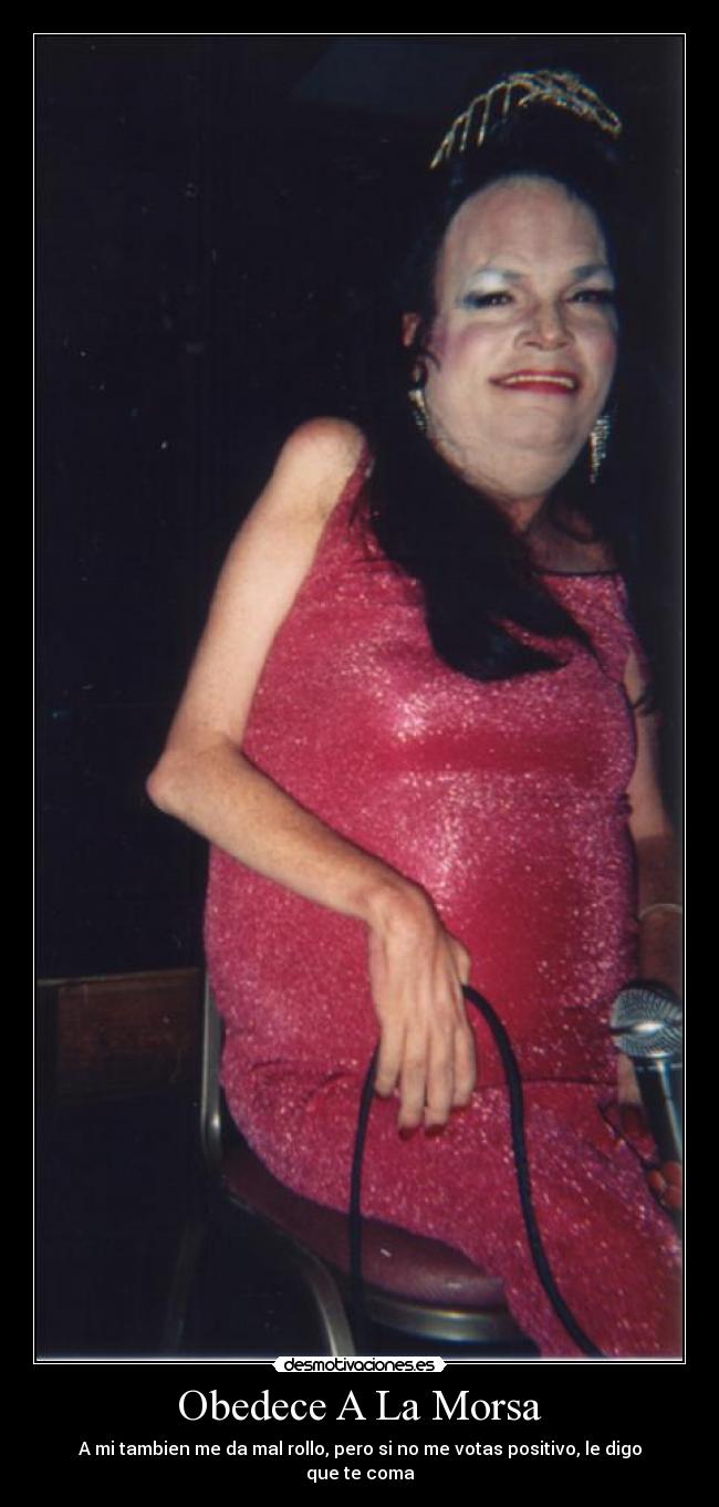 Obedece A La Morsa -