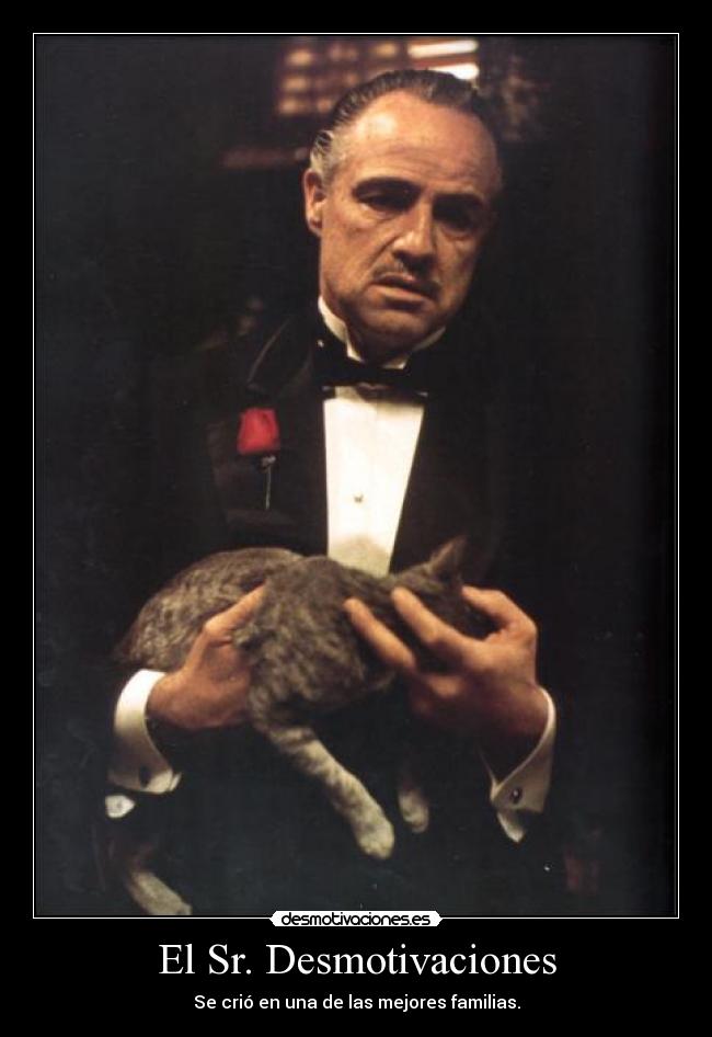El Sr. Desmotivaciones - 