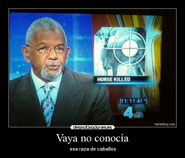 Vaya no conocía - 
