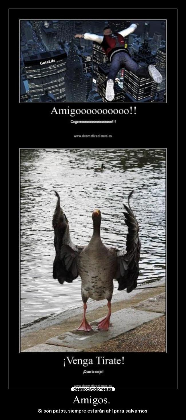 carteles amigos patos amigos desmotivaciones