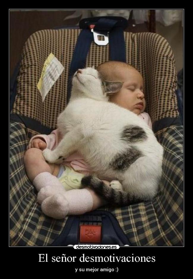 El señor desmotivaciones -