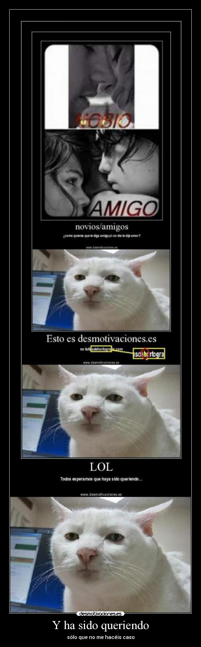 Y ha sido queriendo -