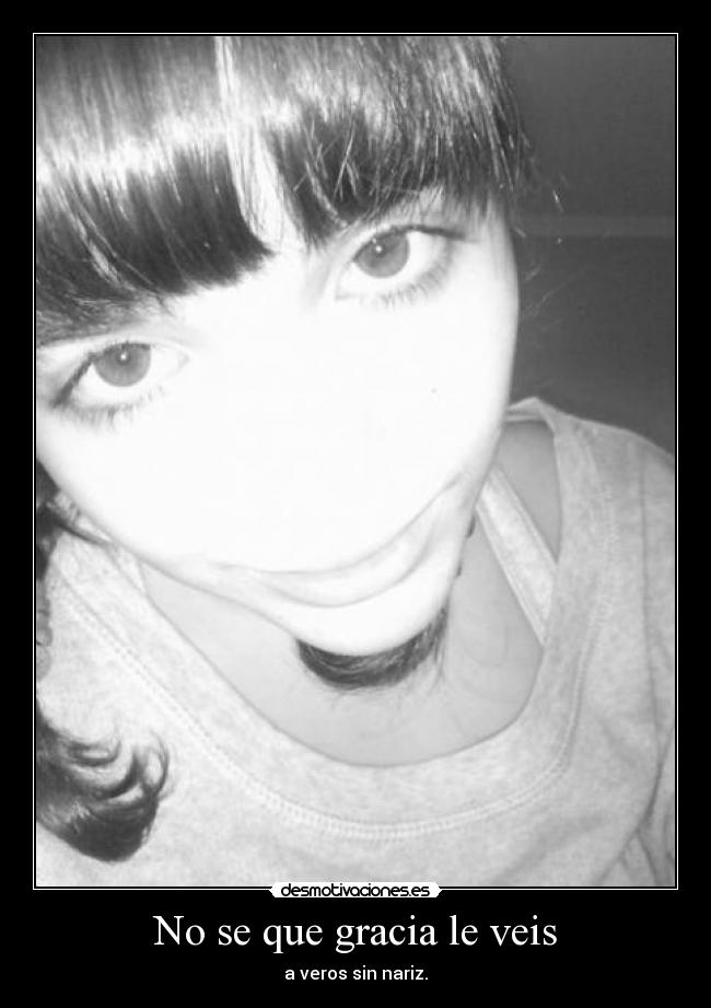 No se que gracia le veis - 