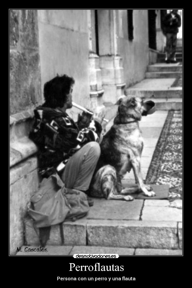 Perroflautas - Persona con un perro y una flauta
