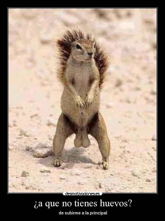 ¿a que no tienes huevos? - 