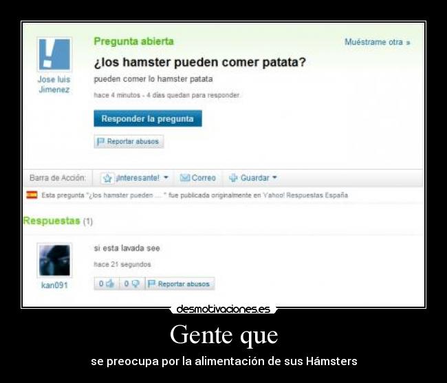 Gente que - se preocupa por la alimentación de sus Hámsters