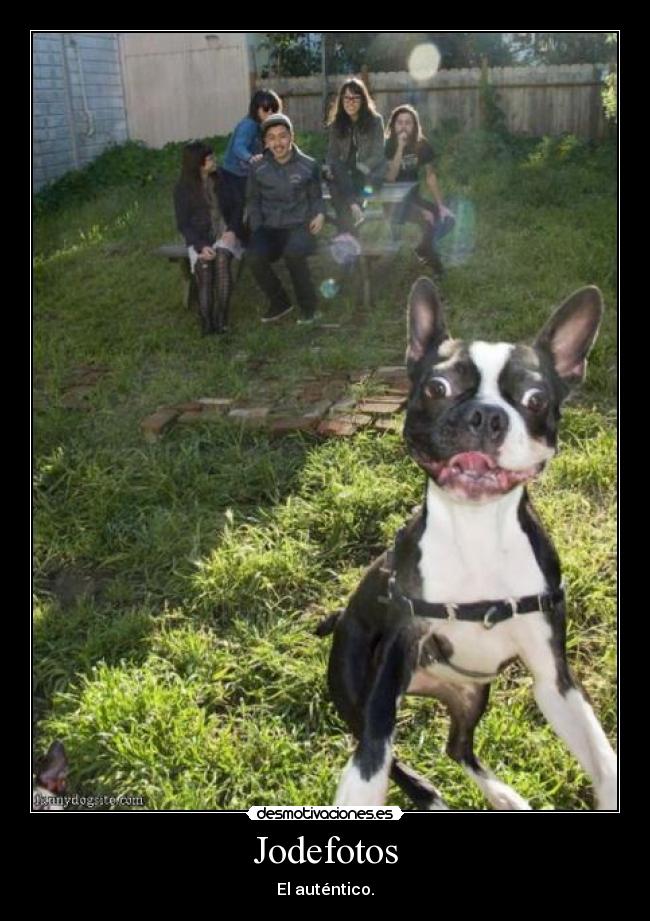 Jodefotos - El auténtico.