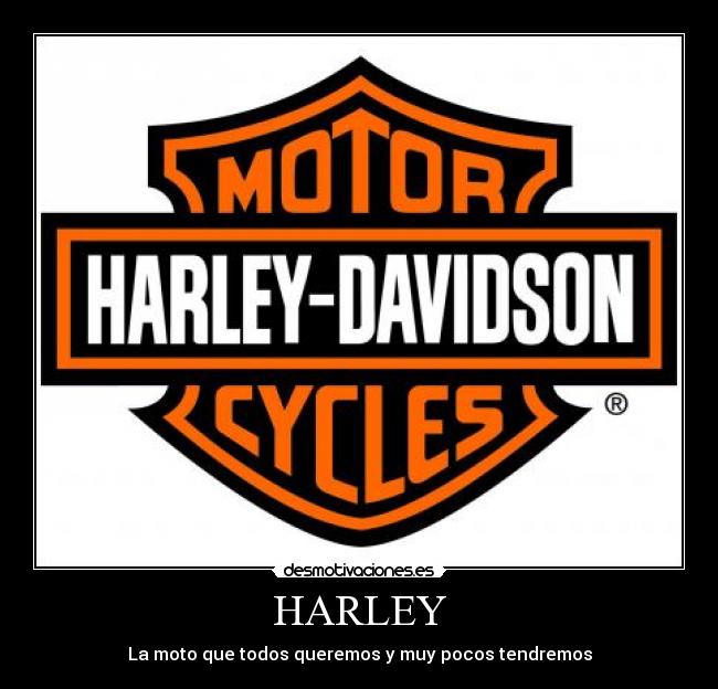 HARLEY - 