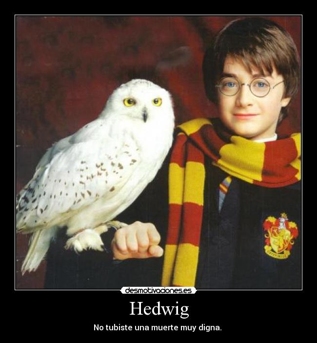 Hedwig -