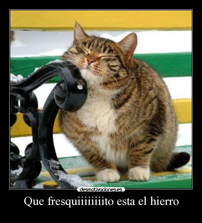 carteles agaer desmotivaciones