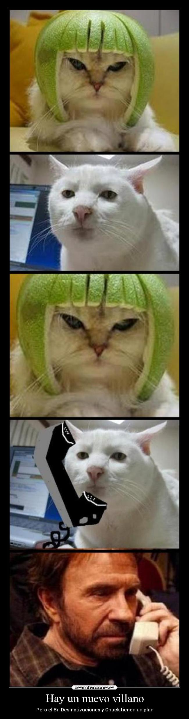 carteles demotivaciones chuck norris desmotivaciones