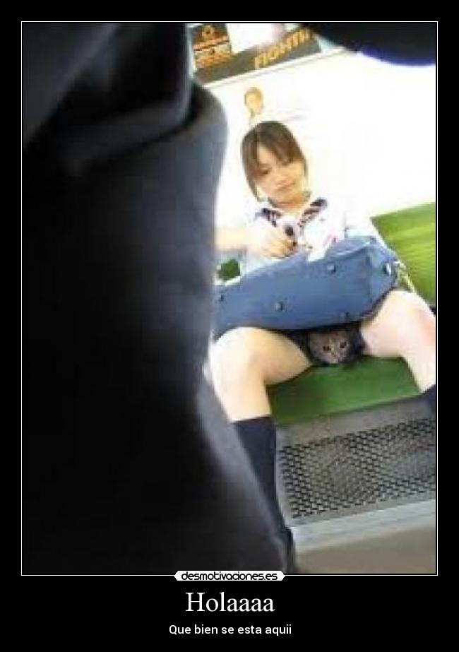 carteles gatitos desmotivaciones