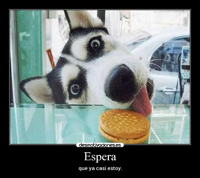 Espera - que ya casi estoy.