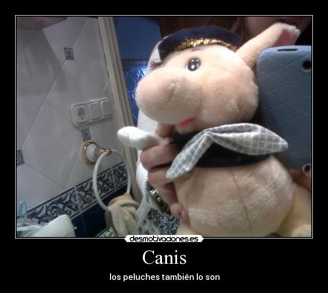 carteles canis desmotivaciones