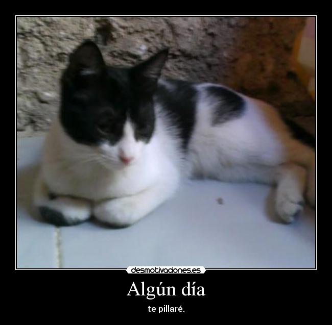 Algún día -