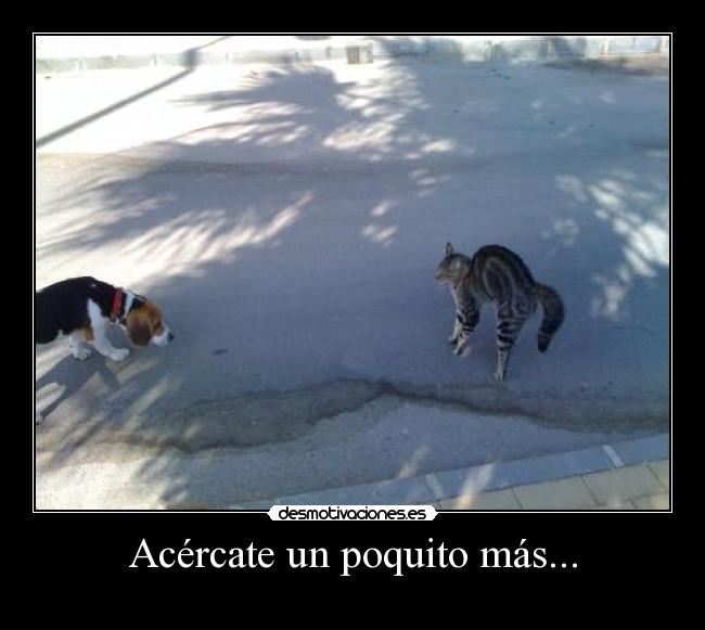 Acércate un poquito más... -