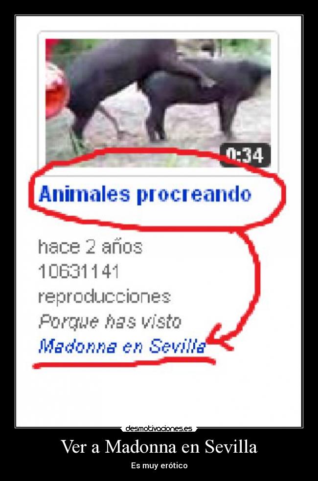 Ver a Madonna en Sevilla -