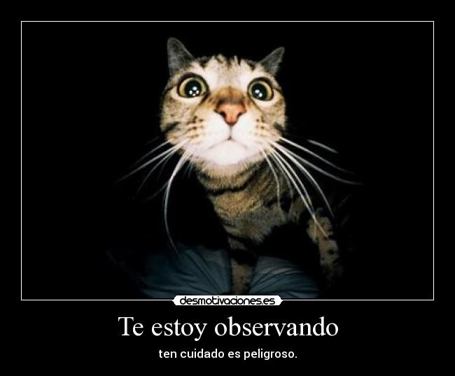 Te estoy observando - ten cuidado es peligroso.