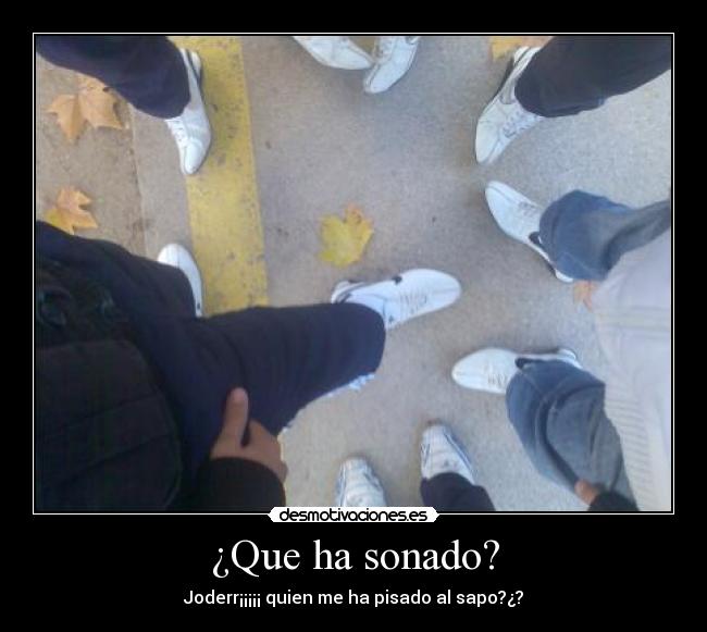 ¿Que ha sonado? - 