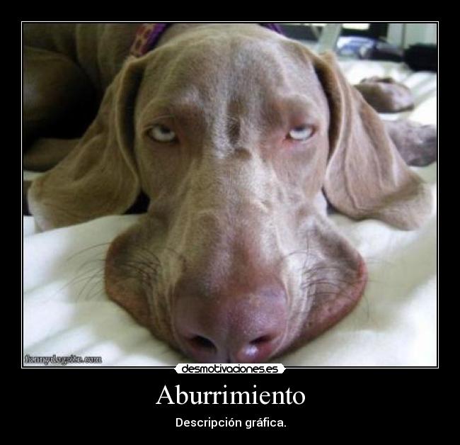 Aburrimiento - Descripción gráfica.