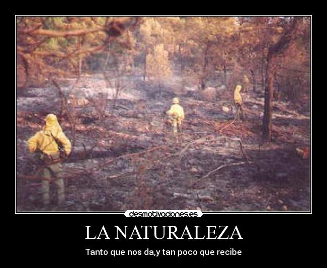LA NATURALEZA -