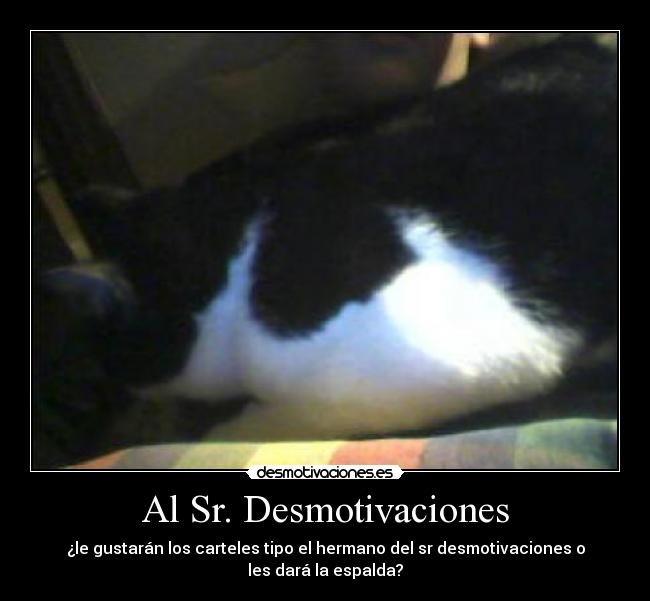 Al Sr. Desmotivaciones - ¿le gustarán los carteles tipo el hermano del sr desmotivaciones o
les dará la espalda?