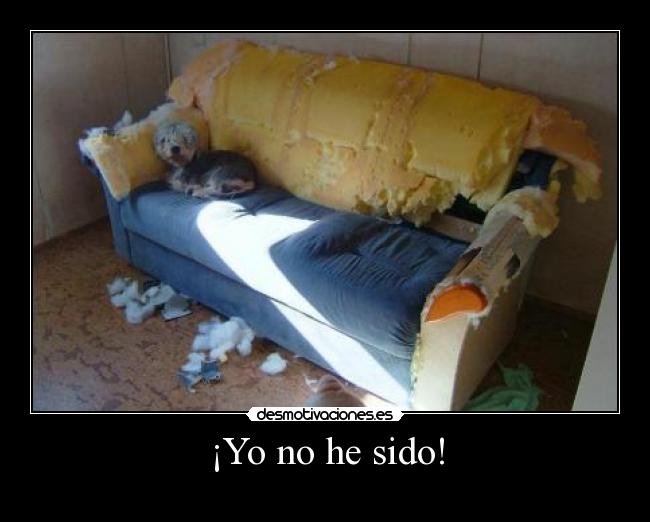 ¡Yo no he sido! - 