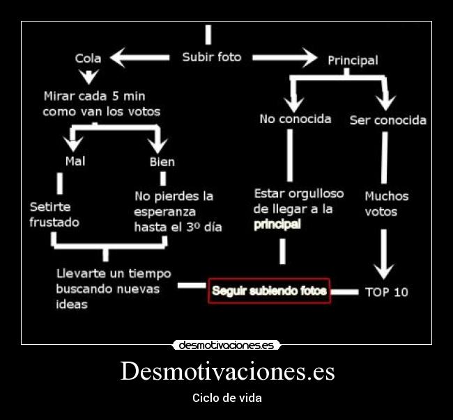 Desmotivaciones.es - Ciclo de vida