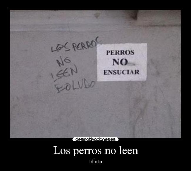 Los perros no leen - Idiota